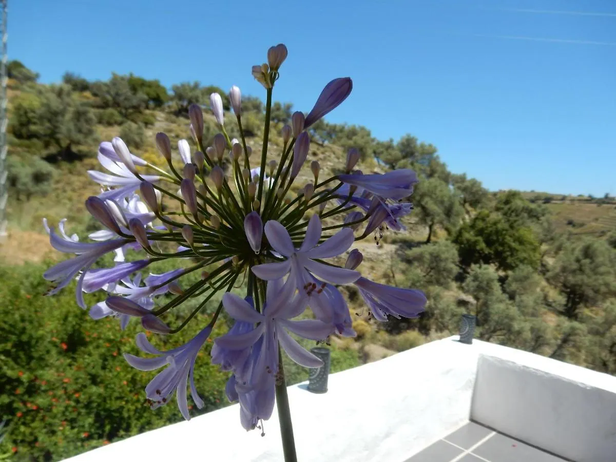 Bed & Breakfast Bed And Breakfast Lagabella Sedella Spain