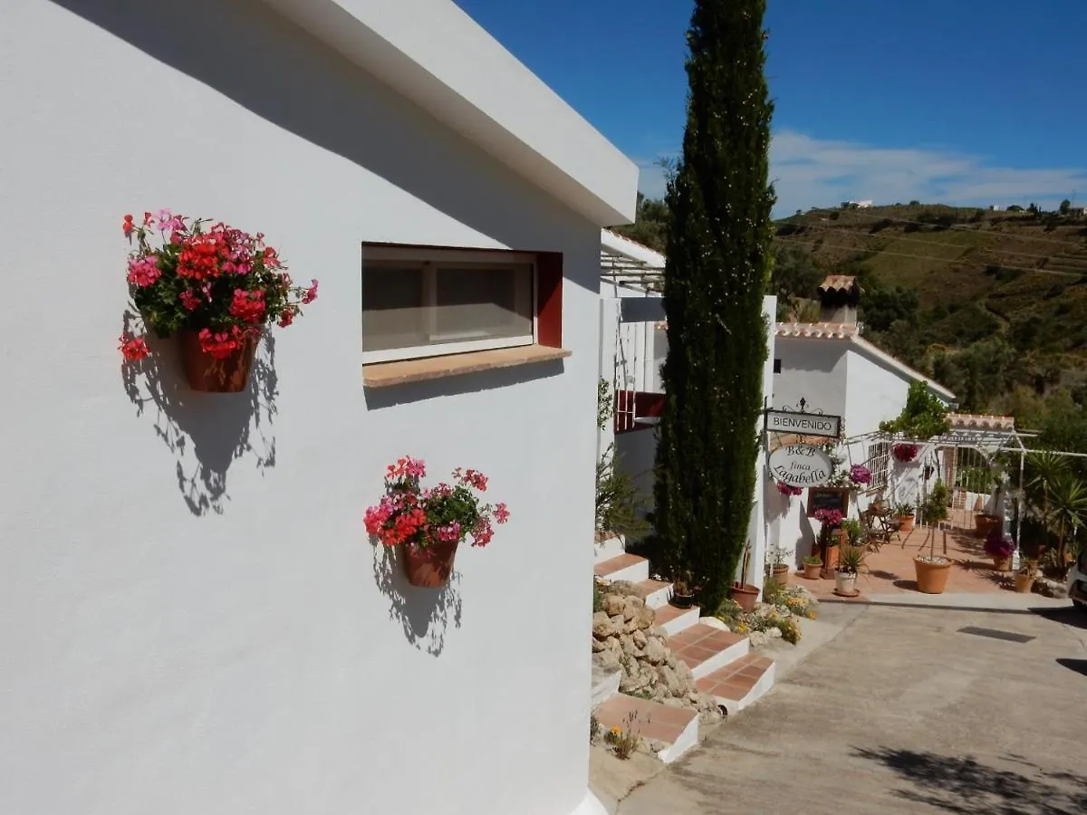 Bed And Breakfast Lagabella Sedella