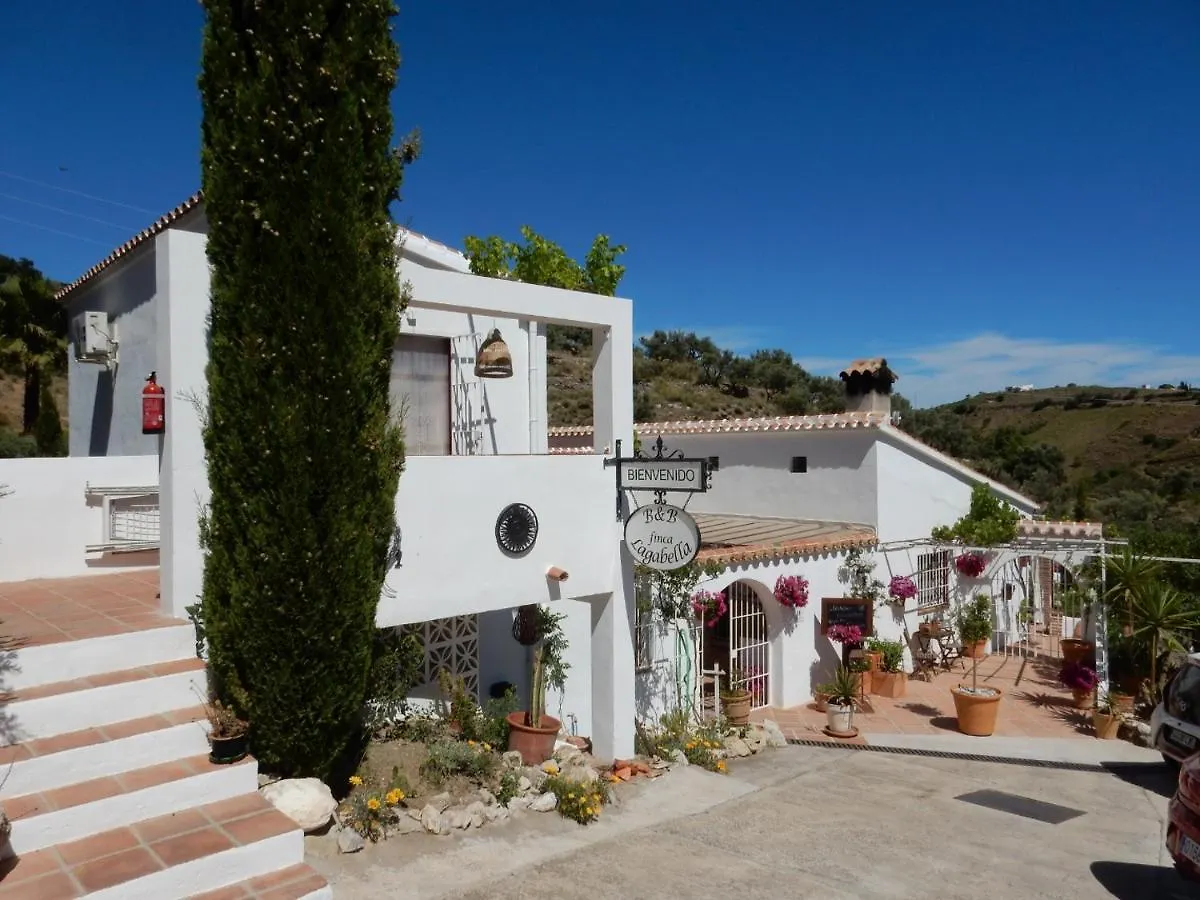 Bed And Breakfast Lagabella Sedella 0*,