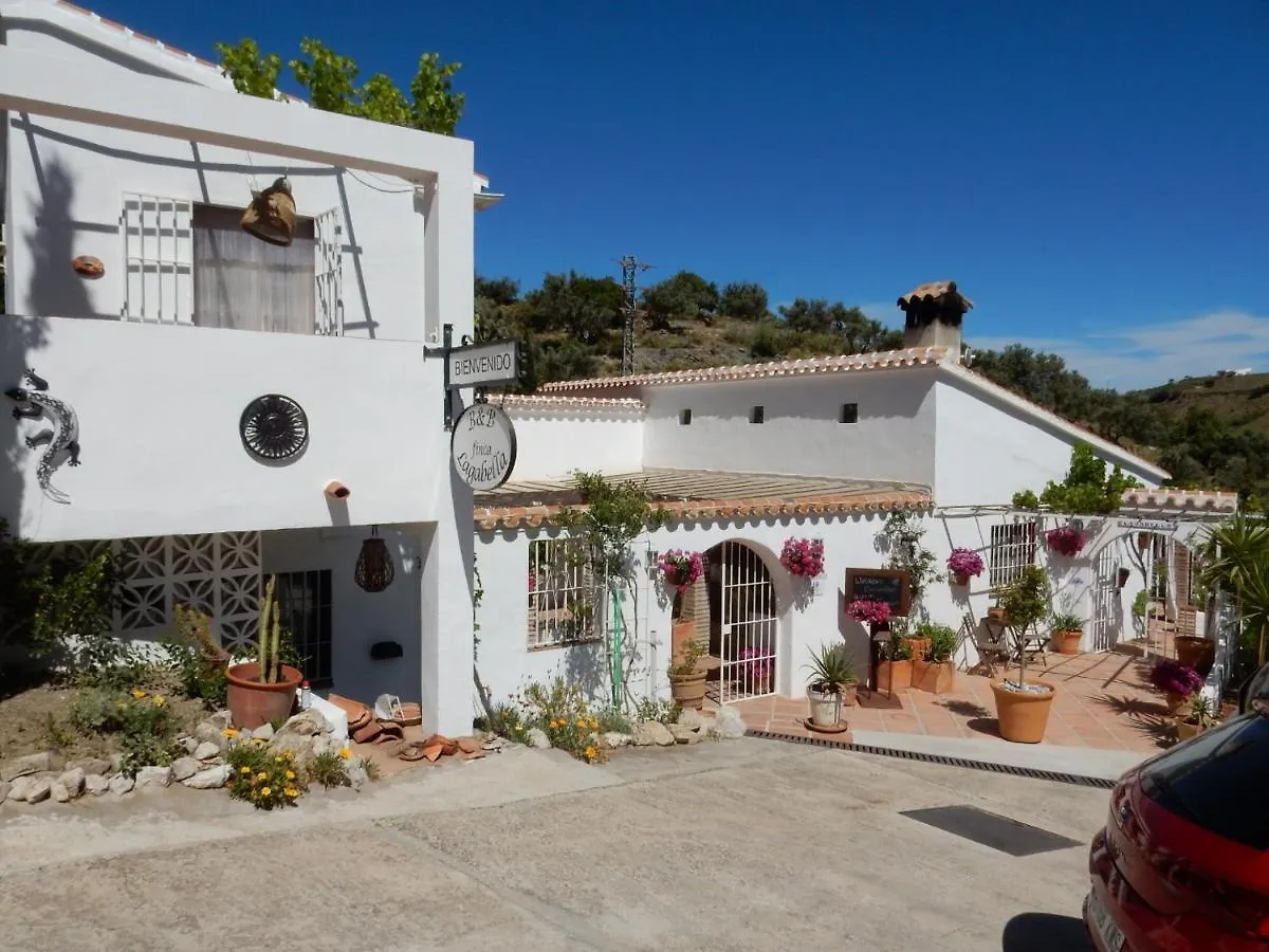 Bed And Breakfast Lagabella Sedella