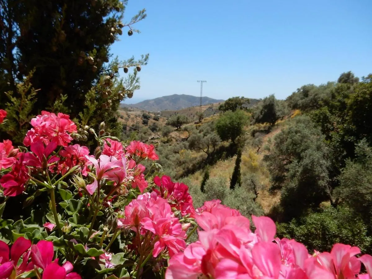 Bed And Breakfast Lagabella Sedella 0*,  Spain